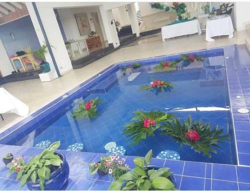 Lodge Hotel Casa Natura