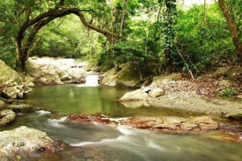 Caba�a Con Piscina En Minca