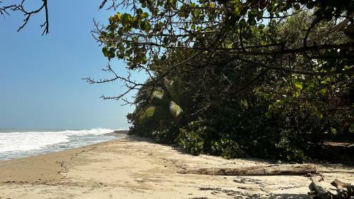 Casa Xue Tayrona - Alma Hotels