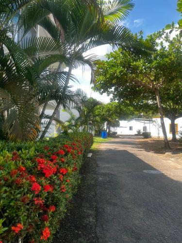Apartamento R�o Bonito - Casa Vacacional