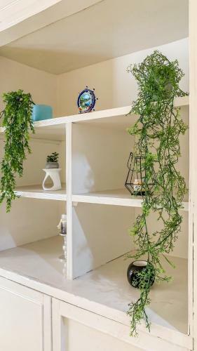 Apartamentos Estilo Republicano - Centro Hist�rico