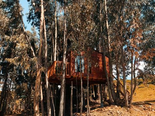 Casa En El �rbol Guatavita