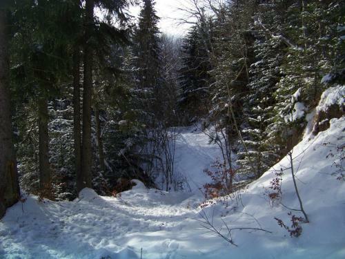 Apartamento Appartement Dans Chalet de Montagne