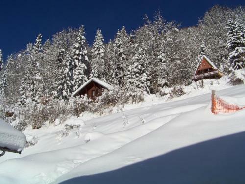 Apartamento Appartement Dans Chalet de Montagne