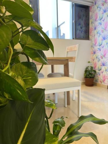 Apartamento Jard�n de Florida Apto