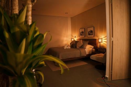 Apartamento Loft Moderno Cerca Del Tesoro By Hoost
