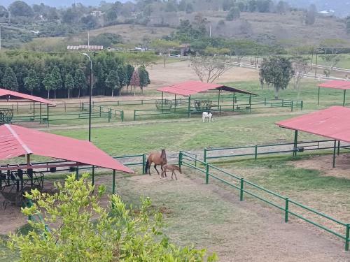 Apartamento Campestre En Condominio