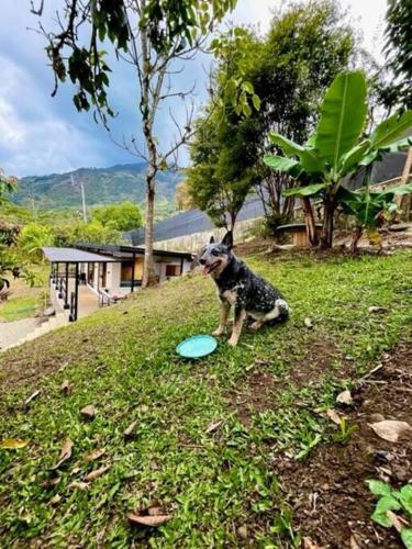 Caba�a Tierra Grata Copacabana, Medellin