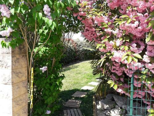 Bed & Breakfast Cosy Studio