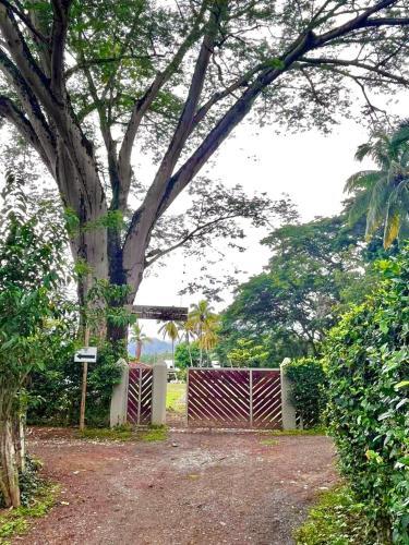 Hotel La Rochela Santa F� de Antioquia