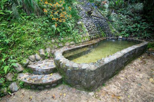 Agroturismo �gora Manantial