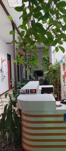 Casa Blanca San Antonio Hostal Boutique
