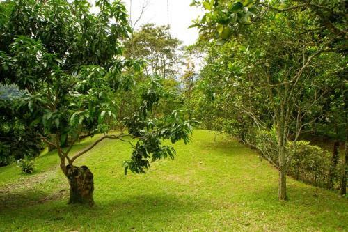 Eco Caba�as San Lorenzo