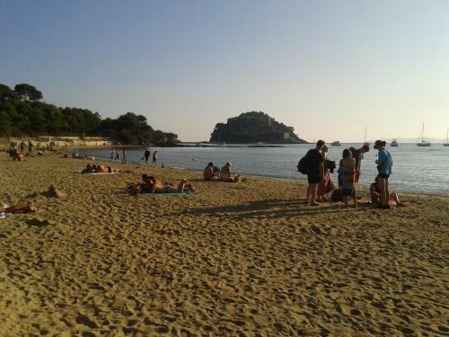 Hotel H�tel Les Palmiers