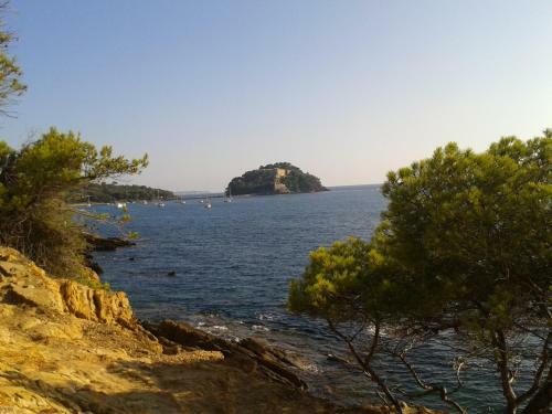 Hotel H�tel Les Palmiers