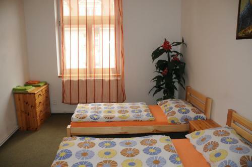 Hostal Penzion Pupendo