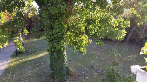 Bed & Breakfast Chambres D'h�tes Les Marronniers