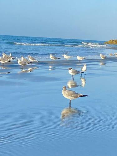 Apartamento Frente Al Mar Cartagena