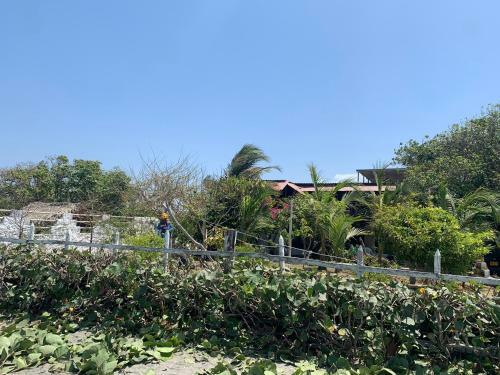 Agroturismo Caba�a Roman
