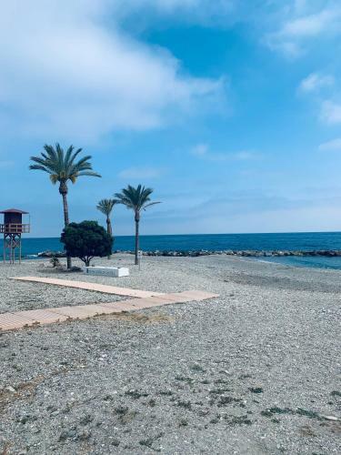 Apartamento Caracola House