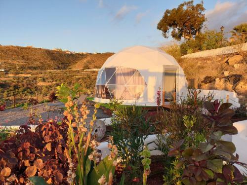 Domes1 Tenerife, Lujo Con El Encanto de Acampar