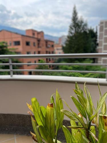 New Modern Apartment In Laureles (Estadio)