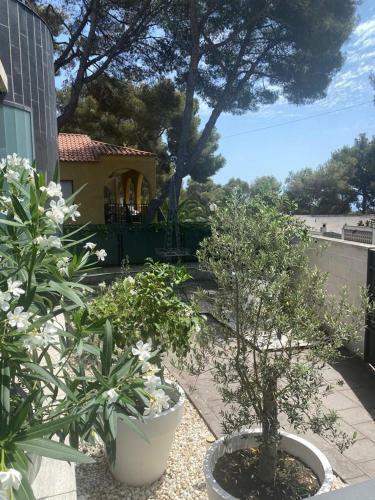 Villa Casa En La Mora Cerca de Las Playas