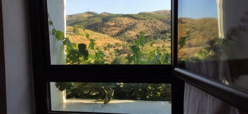 Los Siete Encantos