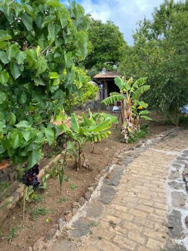 Rural House To Take A Break, La Serreria 25