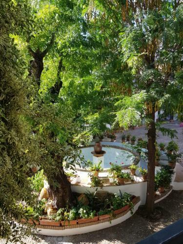 Apartamento Patio Andaluz Siglo XVI