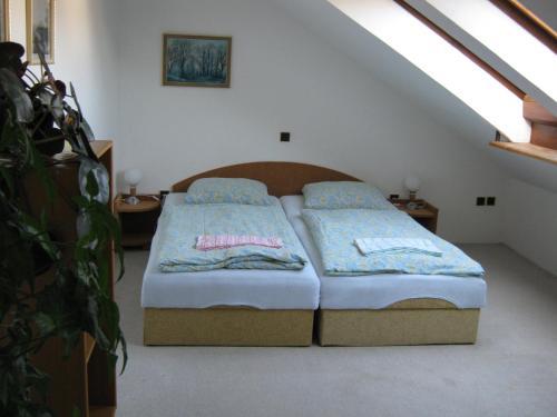 Hostal Privat Apartma Ulrych