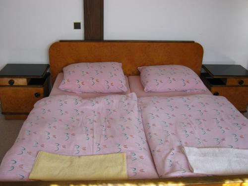 Hostal Privat Apartma Ulrych