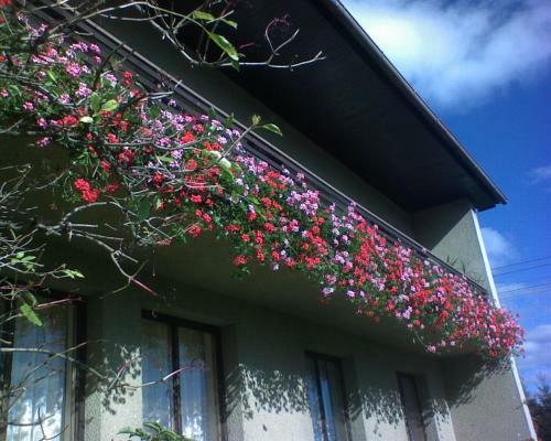 Hostal Privat Apartma Ulrych