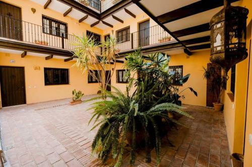 Apartamento Corral Del Horno Central Oasis