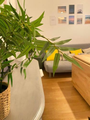 Apartamento La Casa Azul En El Coraz�n de Triana