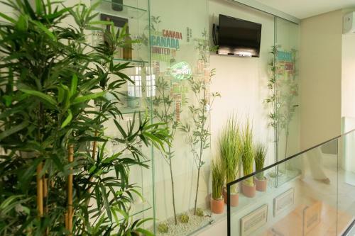 Apartamento The Terrace, D�plex Con Terraza Privada