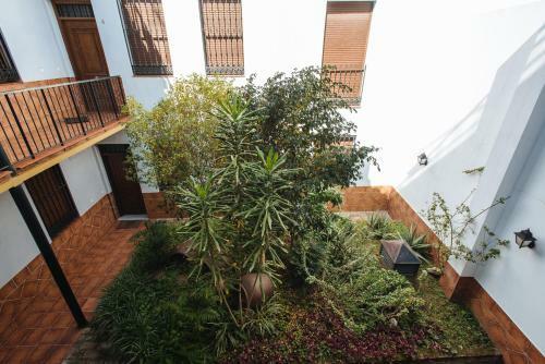 Magno Apartments Requena