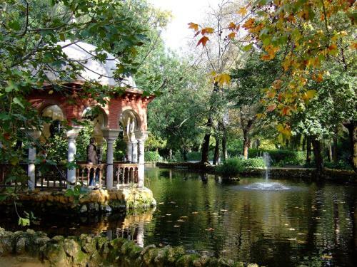 Apartamento Plaza De Espa�a. Dreams