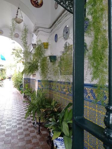 Apartamento Carmona&house