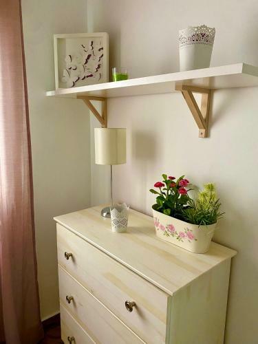 Apartamento 4pax En Pleno Centro Alfalfa