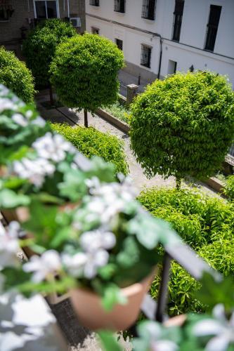 Apartamento Alohamundi Evasi�n