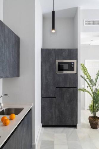 San Buenaventura Apartment 11