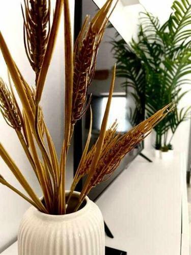 Apartamento San Julian Centro 6 Pax Click&host
