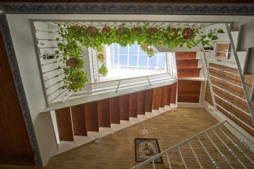 Hostal Casa Pureza