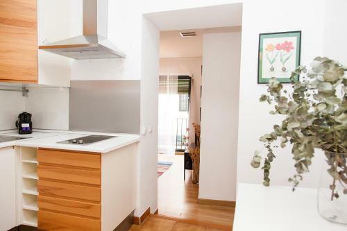 Apartamento Gotoseville Sierpes Suite