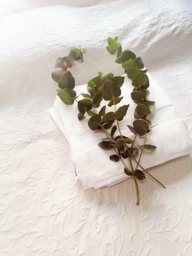 Apartamento �tico Estudio Con Terraza - Centro Sevilla