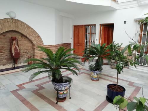 Apartamento Acogedor Estudio En El Centro de Sevilla