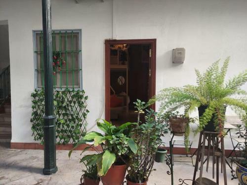Apartamento Arte De La Seda II