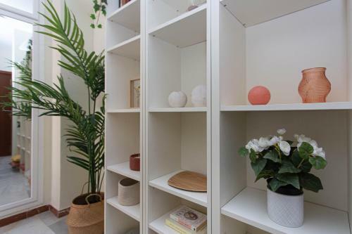 Apartamento Cristo de Burgos 15