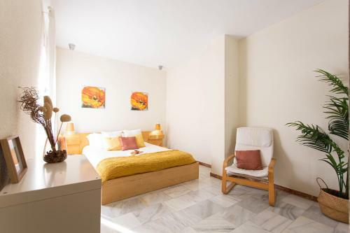 Apartamento Cristo de Burgos 15